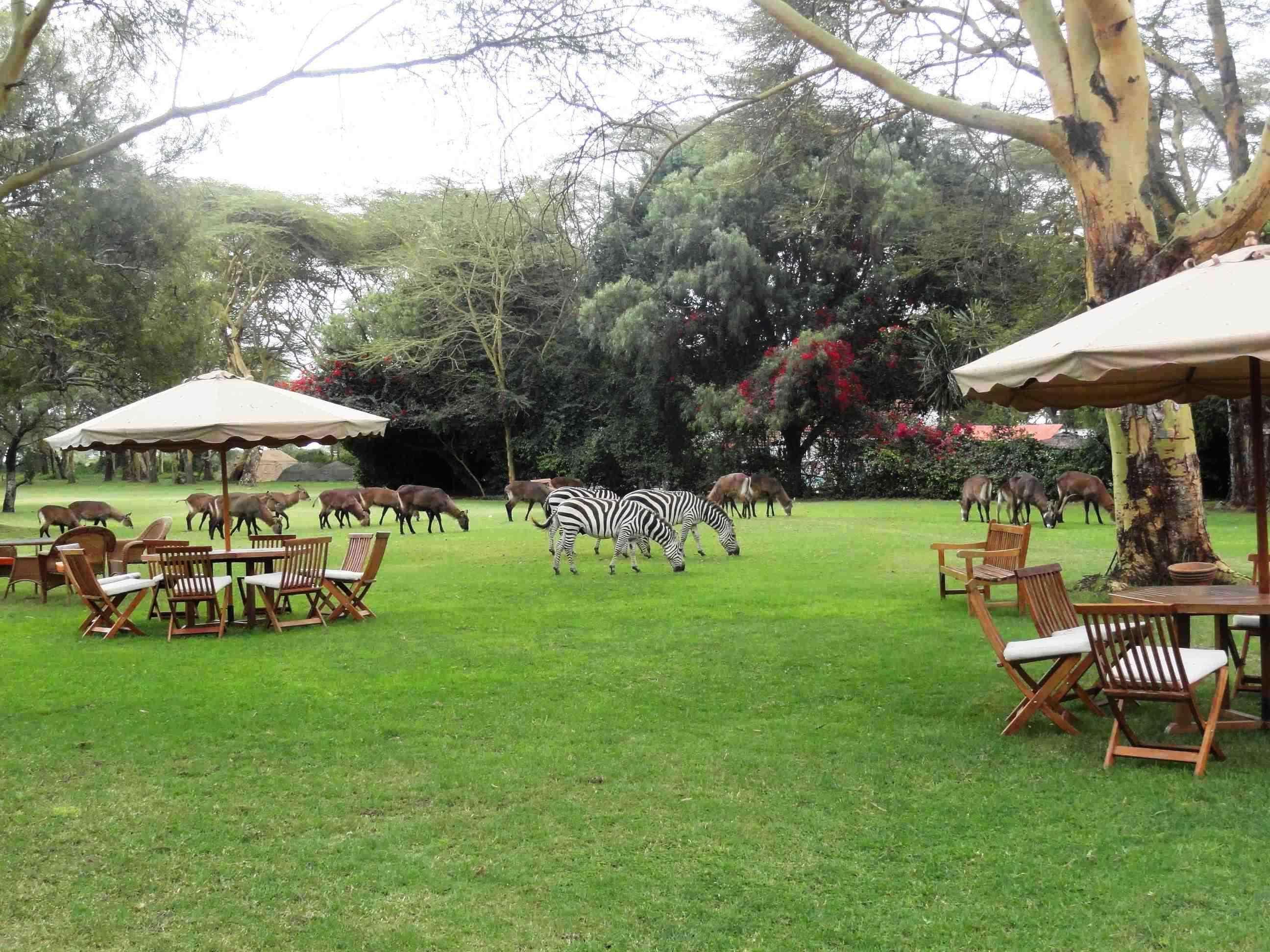 Muthu Lake Naivasha Country Club, Naivasha Karagite Exterior foto