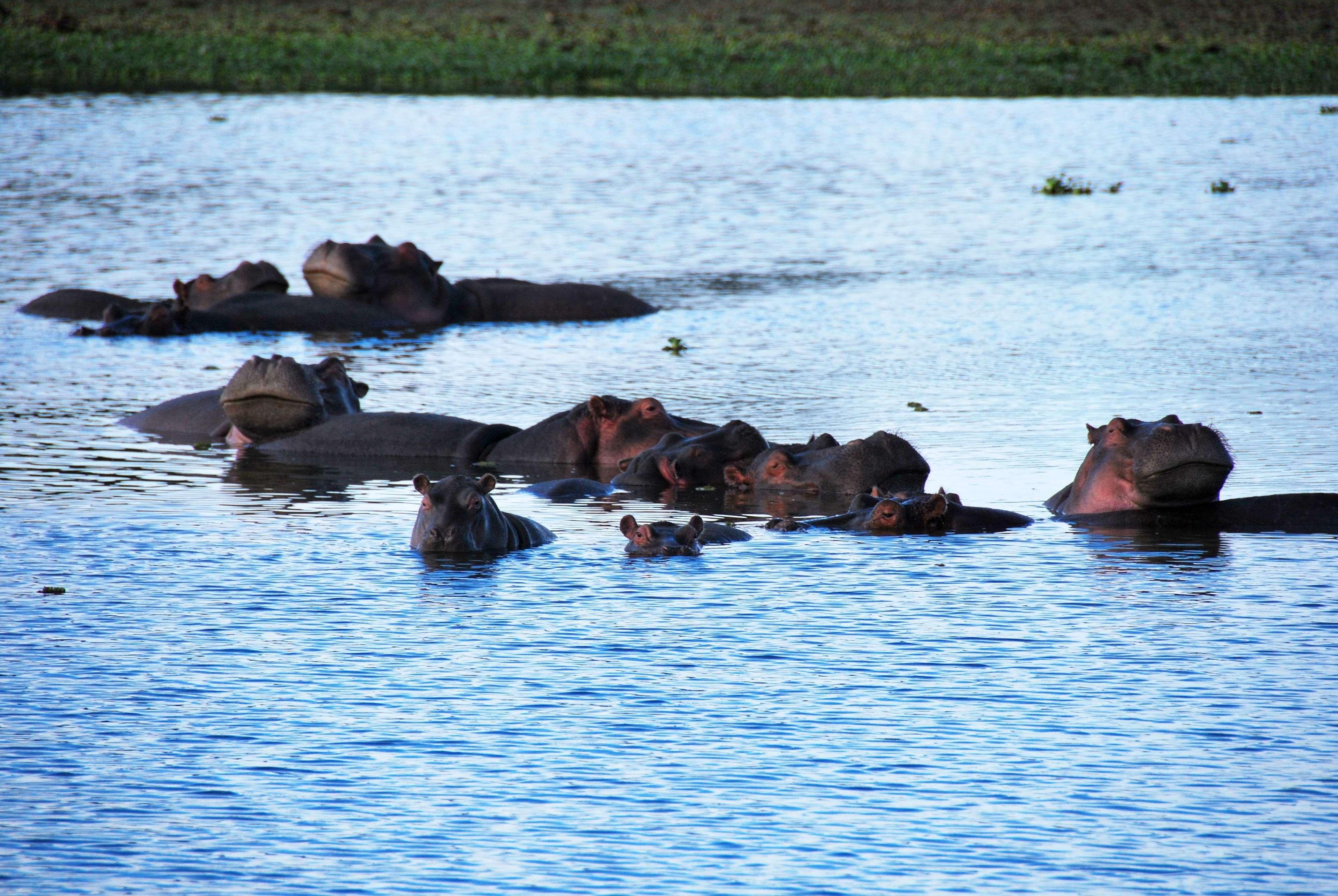 Muthu Lake Naivasha Country Club, Naivasha Karagite Exterior foto